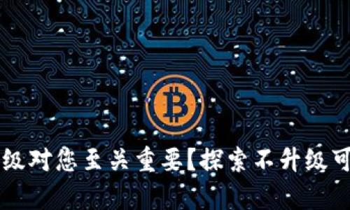 为什么tpWallet的升级对您至关重要？探索不升级可能带来的风险与机遇