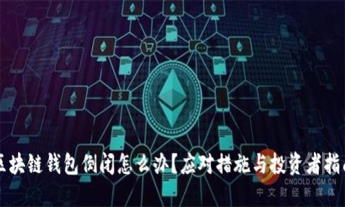 区块链钱包倒闭怎么办？应对措施与投资者指南