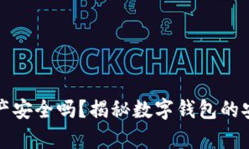 tpWallet里的资产安全吗？揭秘数字钱包的安全性与防护措施