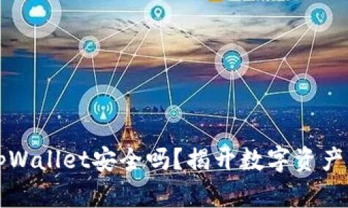 下载国外tpWallet安全吗？揭开数字资产钱包的真相