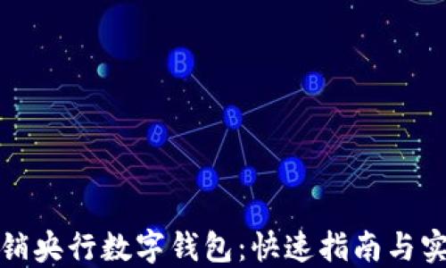 
如何注销央行数字钱包：快速指南与实用技巧