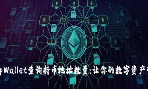 如何通过tpWallet查询持币地址数量：让你的数字资产管理更高效