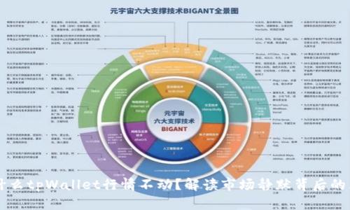 为什么tpWallet行情不动？解读市场静默背后的原因