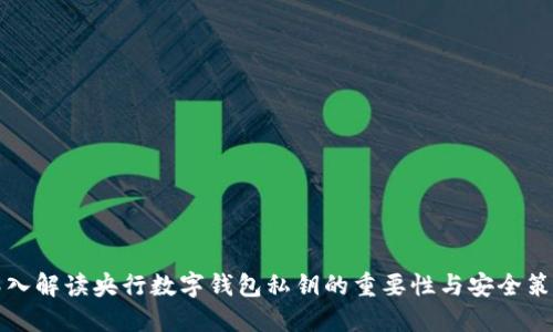 深入解读央行数字钱包私钥的重要性与安全策略