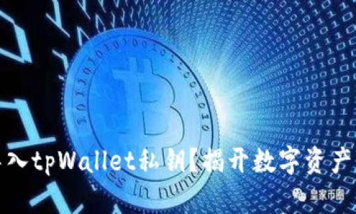 如何安全导入tpWallet私钥？揭开数字资产的保护面纱