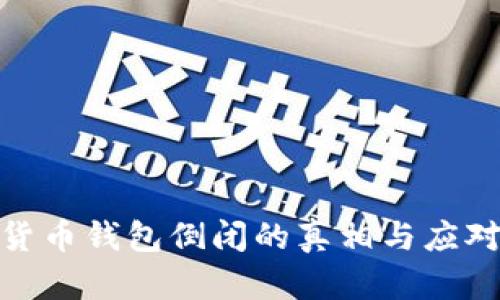 数字货币钱包倒闭的真相与应对策略