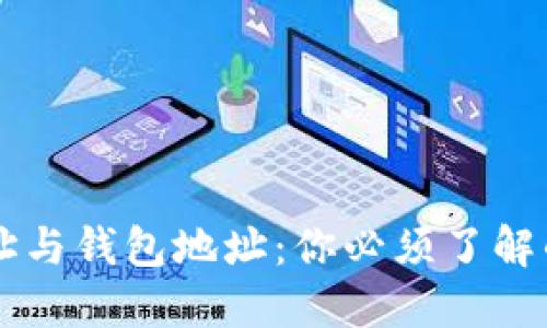 区块链地址与钱包地址：你必须了解的关键区别