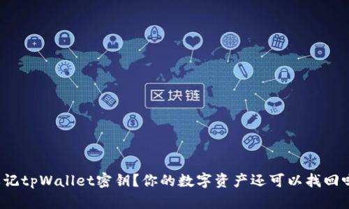 忘记tpWallet密钥？你的数字资产还可以找回吗？
