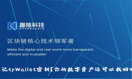 忘记tpWallet密钥？你的数字资产还可以找回吗？