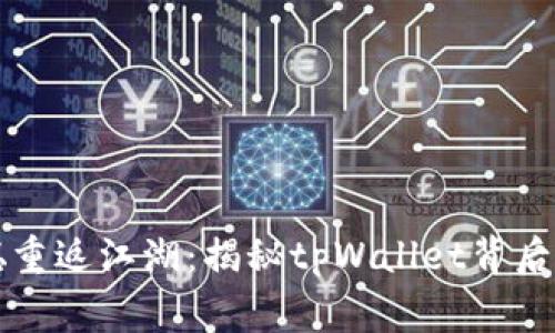 中本聪重返江湖：揭秘tpWallet背后的故事