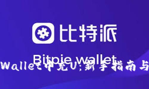 如何在tpWallet中充U：新手指南与常见问题