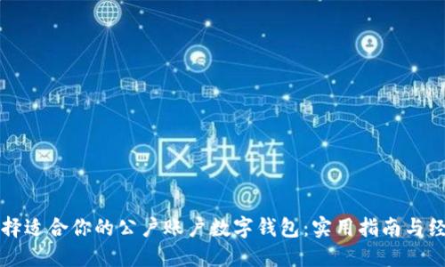 如何选择适合你的公户账户数字钱包：实用指南与经验分享