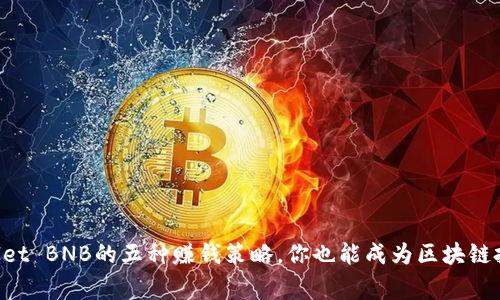 利用tpWallet BNB的五种赚钱策略，你也能成为区块链投资的赢家！