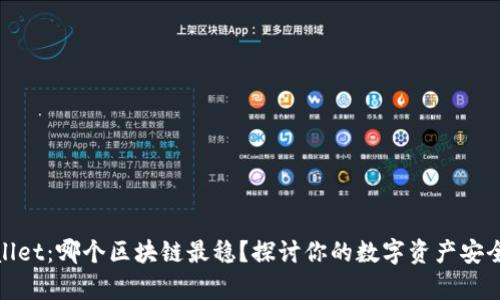 tpWallet：哪个区块链最稳？探讨你的数字资产安全之选