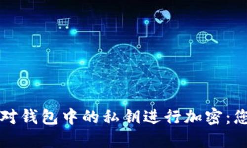 如何安全地对钱包中的私钥进行加密：您的全面指南