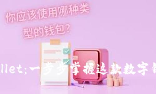 如何安全登录tpWallet：一步步掌握这款数字钱包的电脑使用技巧