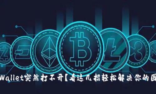 tpWallet突然打不开？看这几招轻松解决你的困扰