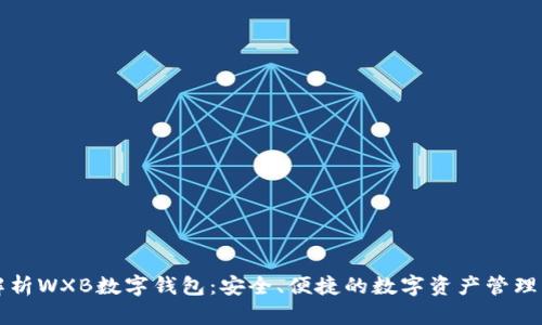 “全面解析WXB数字钱包：安全、便捷的数字资产管理新选择”
