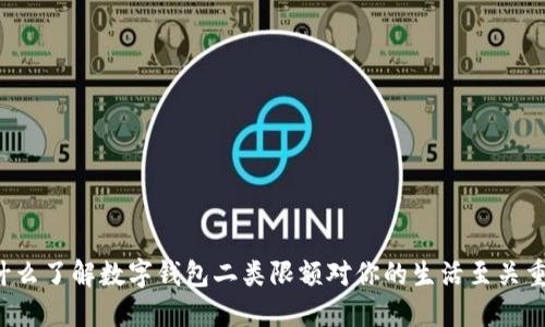 为什么了解数字钱包二类限额对你的生活至关重要？