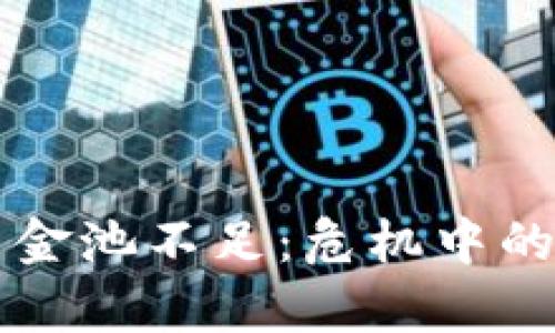 tpWallet流动资金池不足：危机中的应对与解决方案