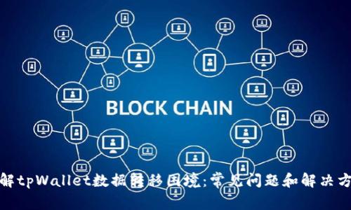 破解tpWallet数据转移困境：常见问题和解决方案