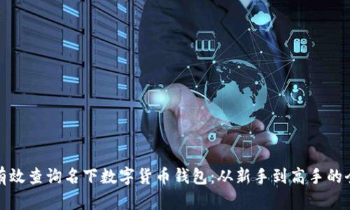 如何有效查询名下数字货币钱包：从新手到高手的全攻略