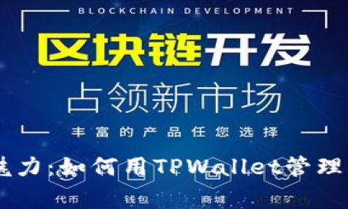 Doge背后的魅力：如何用TPWallet管理你的加密资产