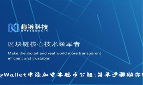 如何在tpWallet中添加中本聪币公链：简单步骤助你轻松入门