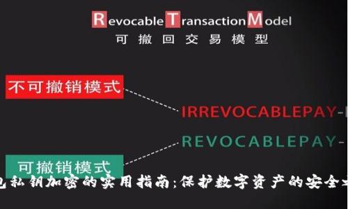 钱包私钥加密的实用指南：保护数字资产的安全之道