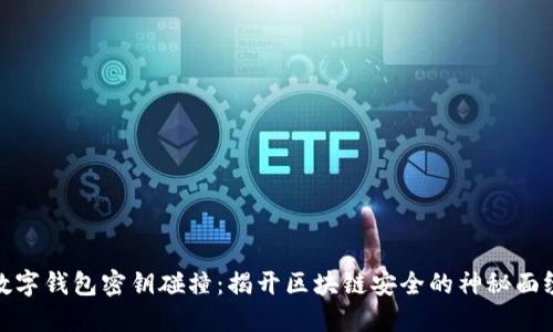 数字钱包密钥碰撞：揭开区块链安全的神秘面纱