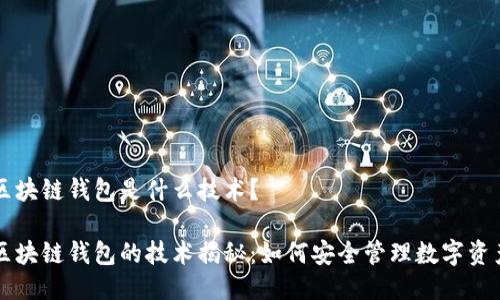 区块链钱包是什么技术？

区块链钱包的技术揭秘：如何安全管理数字资产